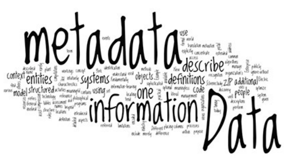 Metadata Architecture