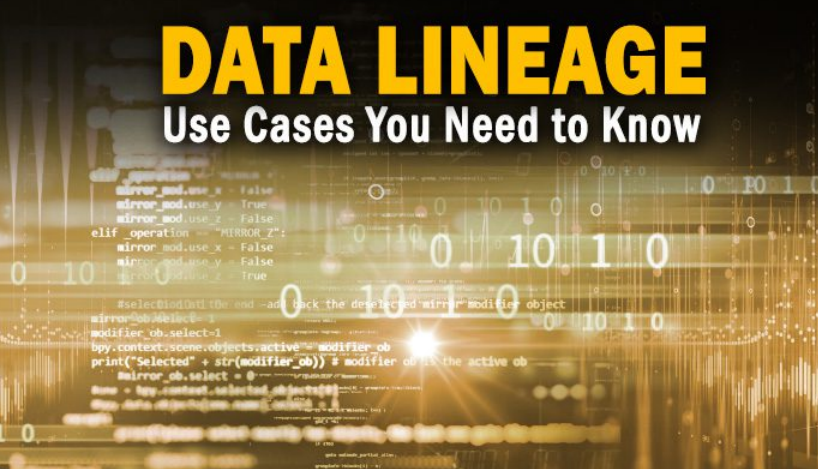 Common Data Lineage Use Cases