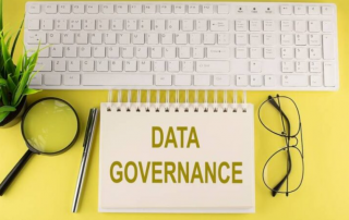 How to Succeed in Data Governance?