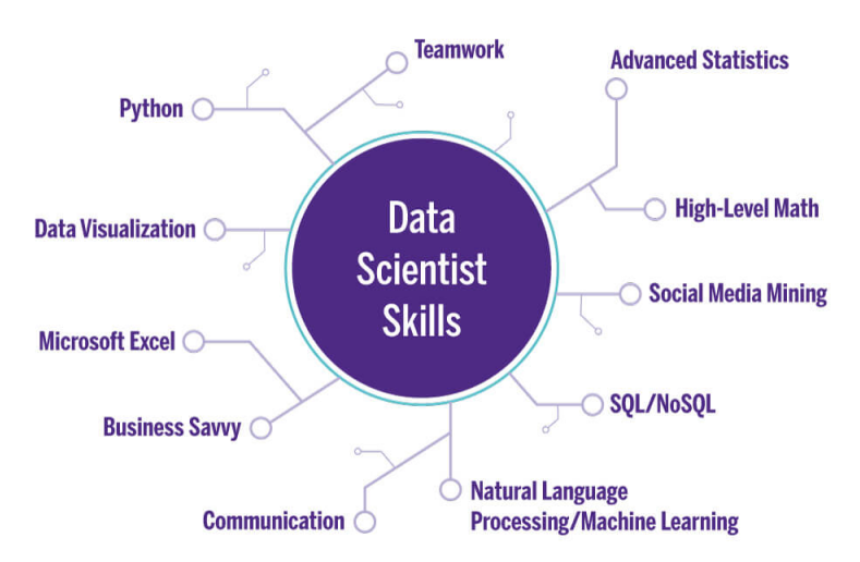 Data Scientist Skills