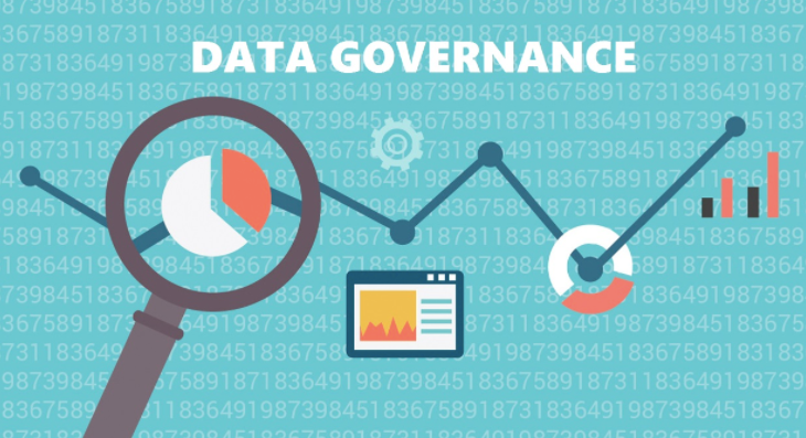 Frequently Asked Questions in Data Governance