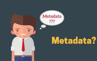 Why Do Organizations Record and Manage Their Metadata?