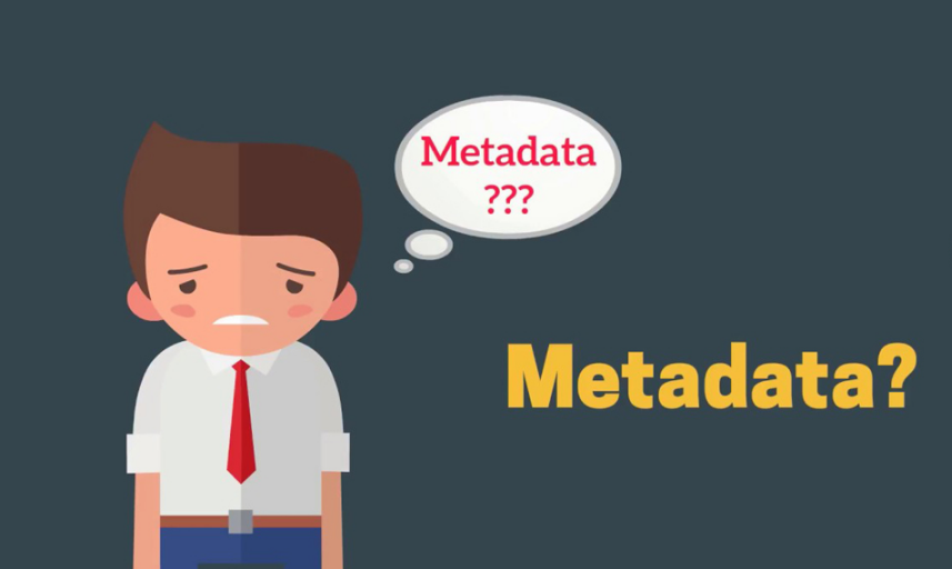 Why Do Organizations Record and Manage Their Metadata?