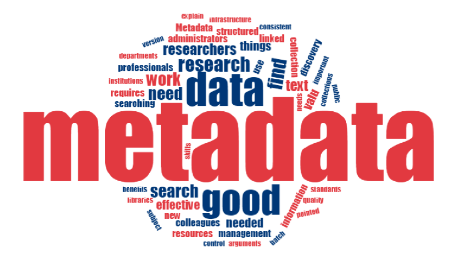 Why Do Organizations Record and Manage Their Metadata?